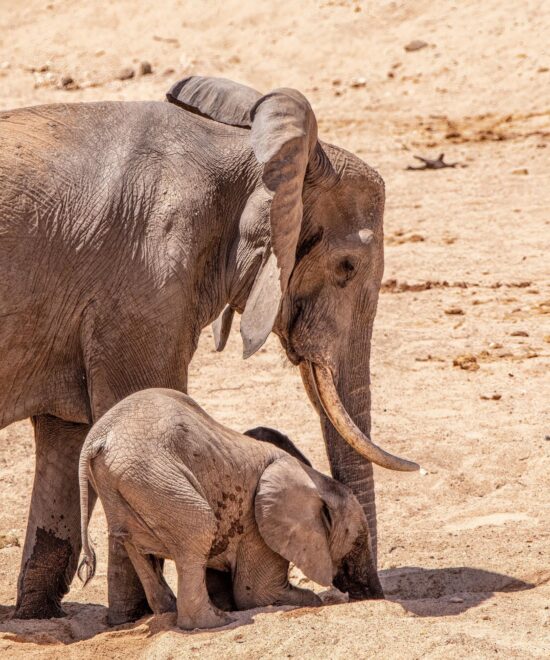 Tarangire National Park