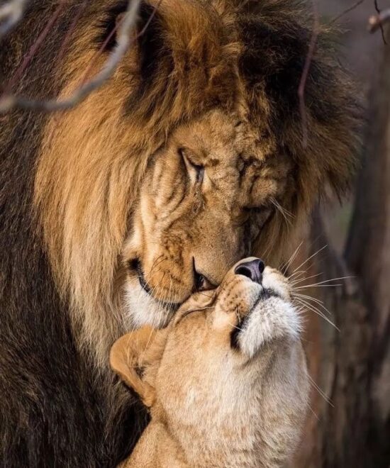 Serengeti National Park