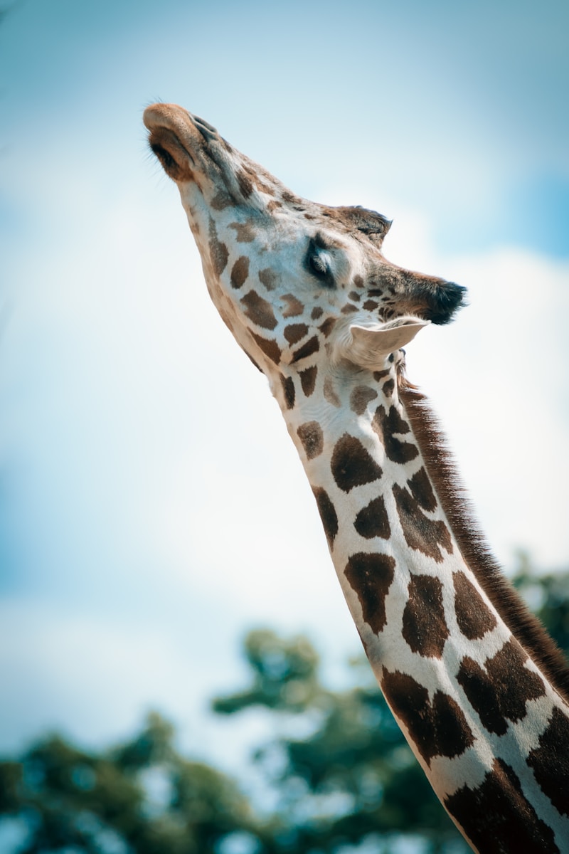 Arusha National Park