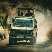 a safari vehicle driving down a dirt road