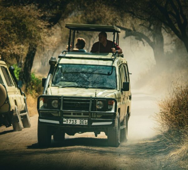 a safari vehicle driving down a dirt road